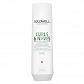 Goldwell Dualsenses Curly Twist szampon nawilżający do włosów kręconych 250ml